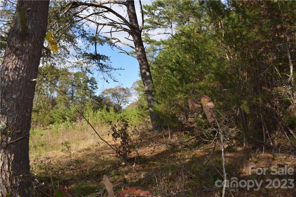 Lot 3/4 Big Rocky Top Drive
