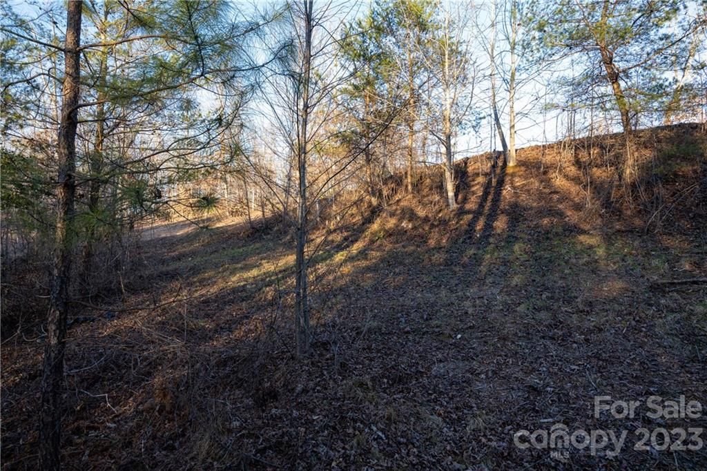 0000 Baber Forest Drive