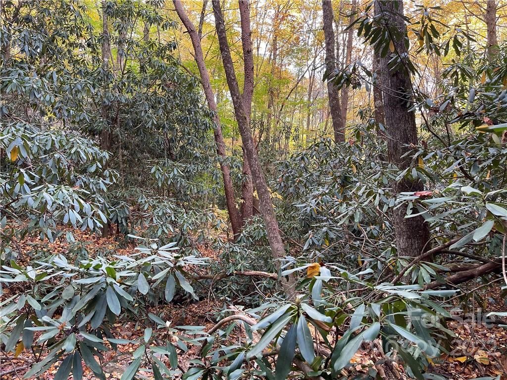 100 E Mill Creek Road