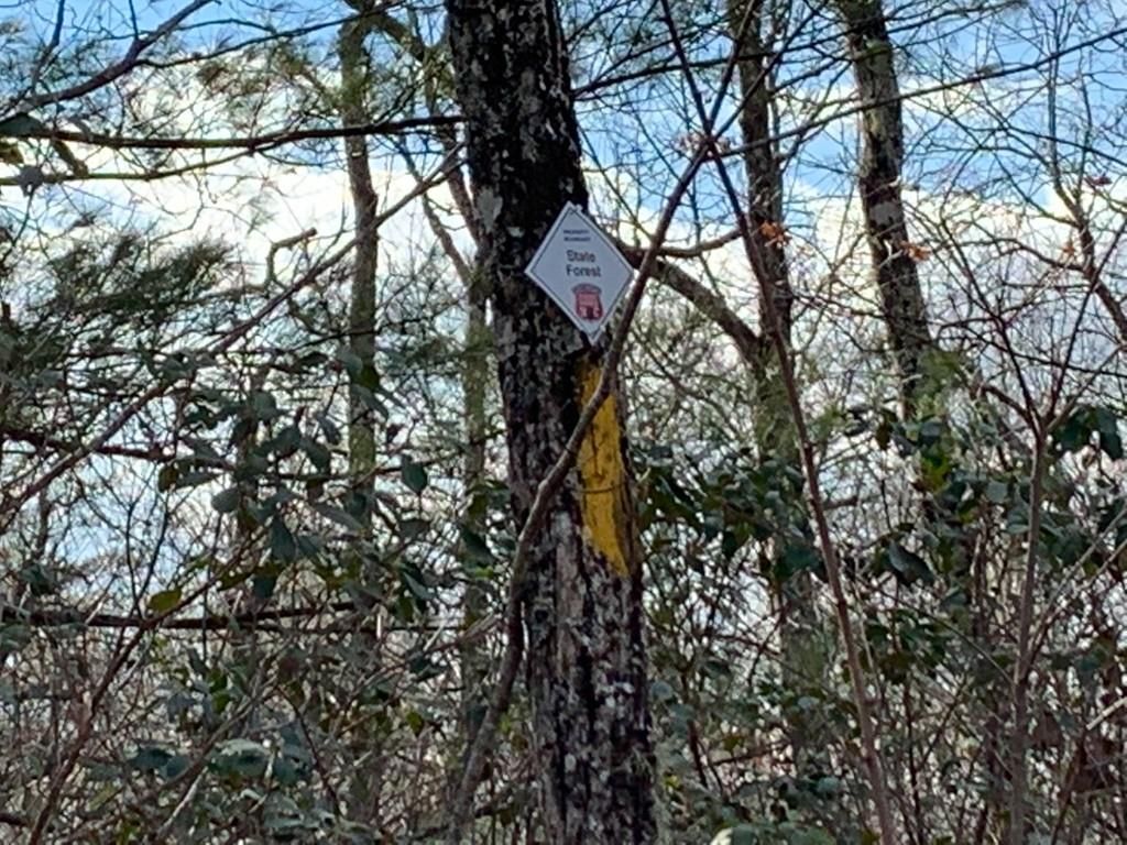 91 Laurel Thicket Lane