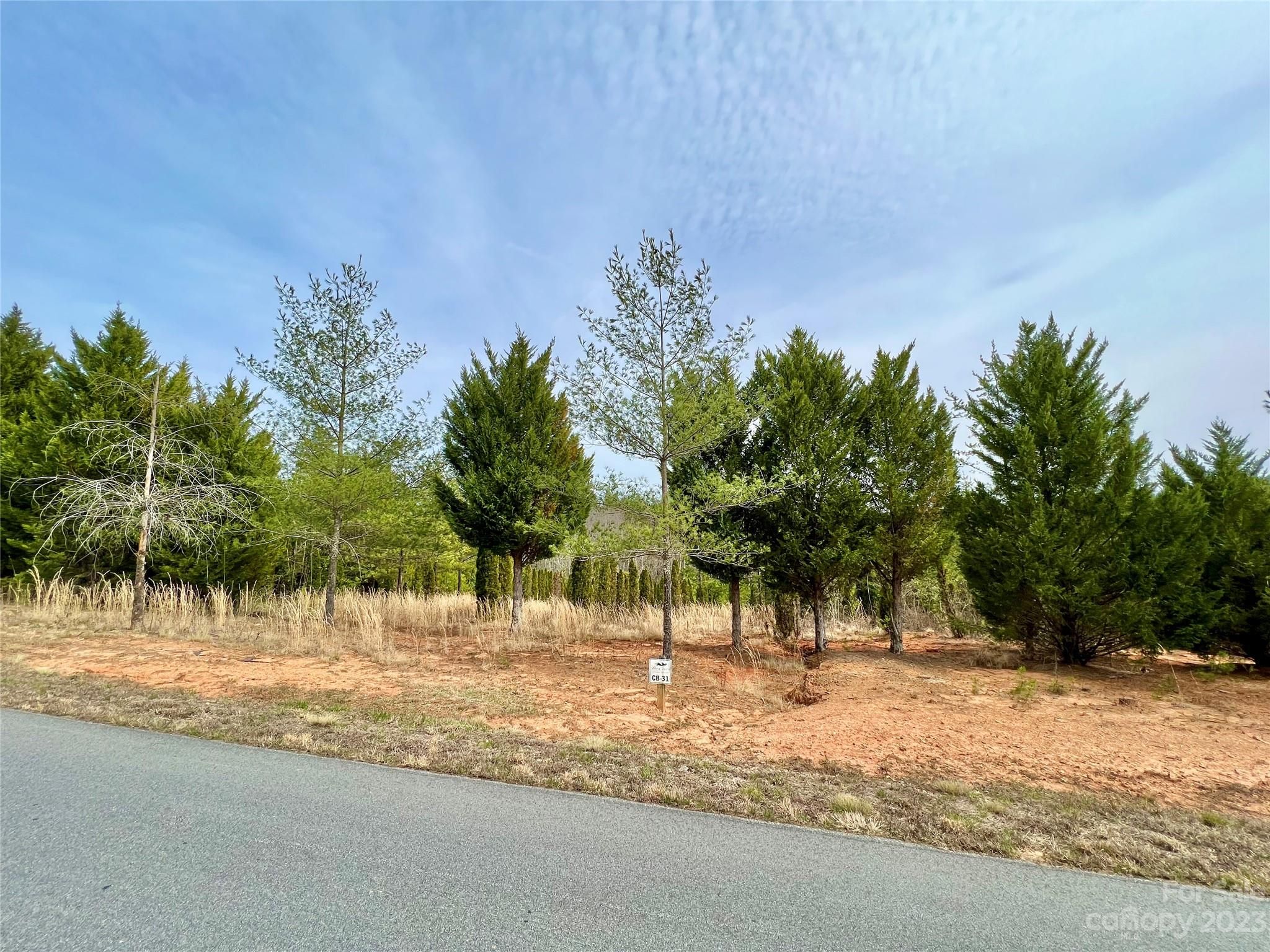 1.125 Acres Lot Cb-31 Cypress Trail