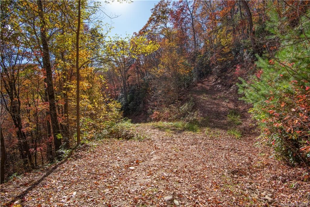Tract 17 Sigogglin Trail