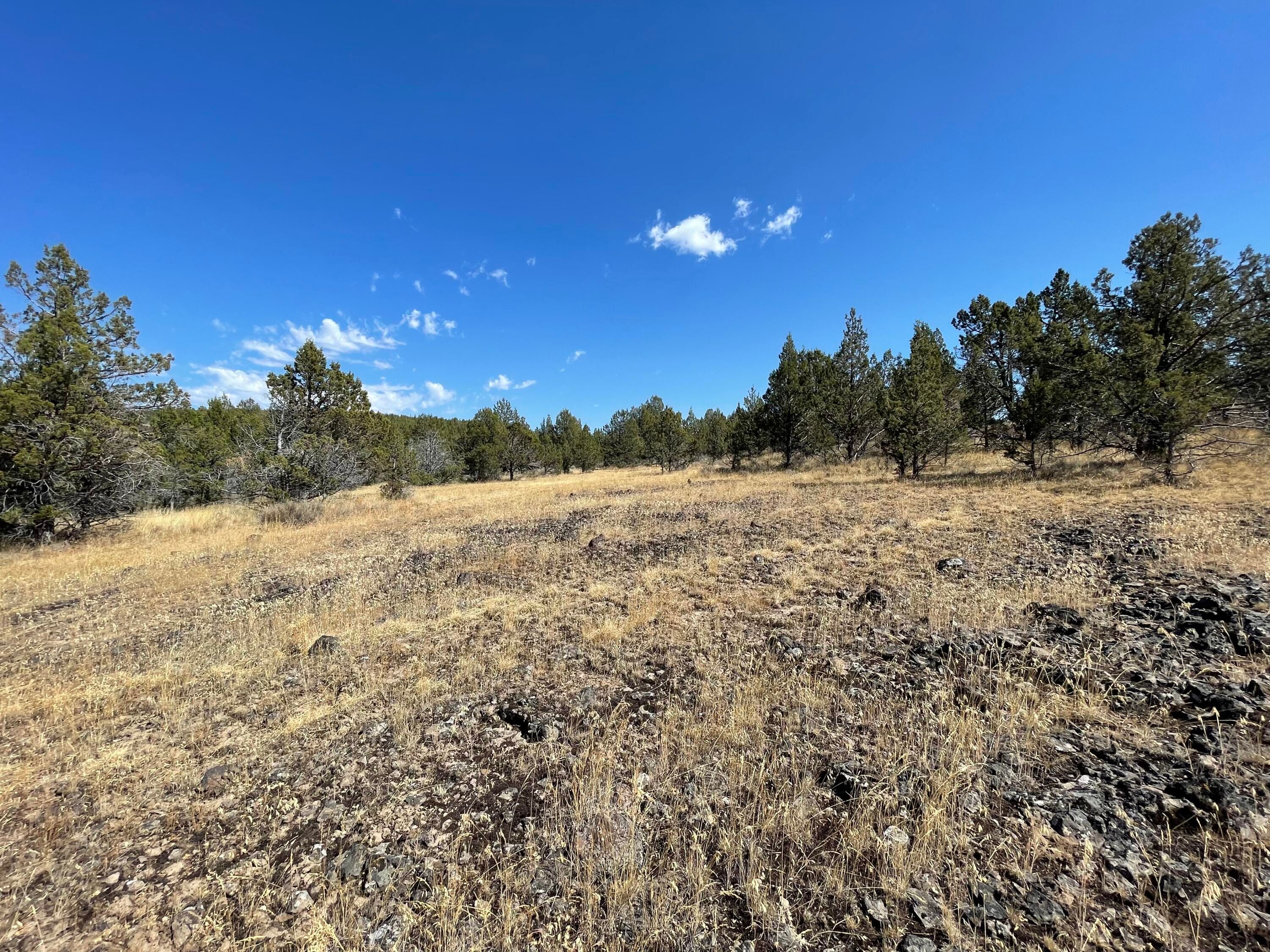 Tl 3000 Ochoco Land &Amp; Livestock