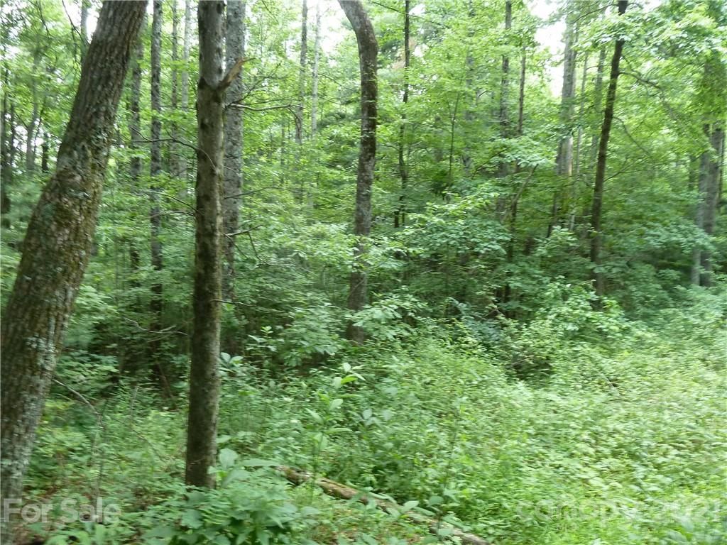 3 N Pointe Drive