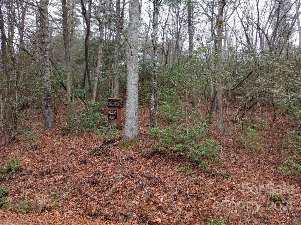 00 Old Mt Olivet Road