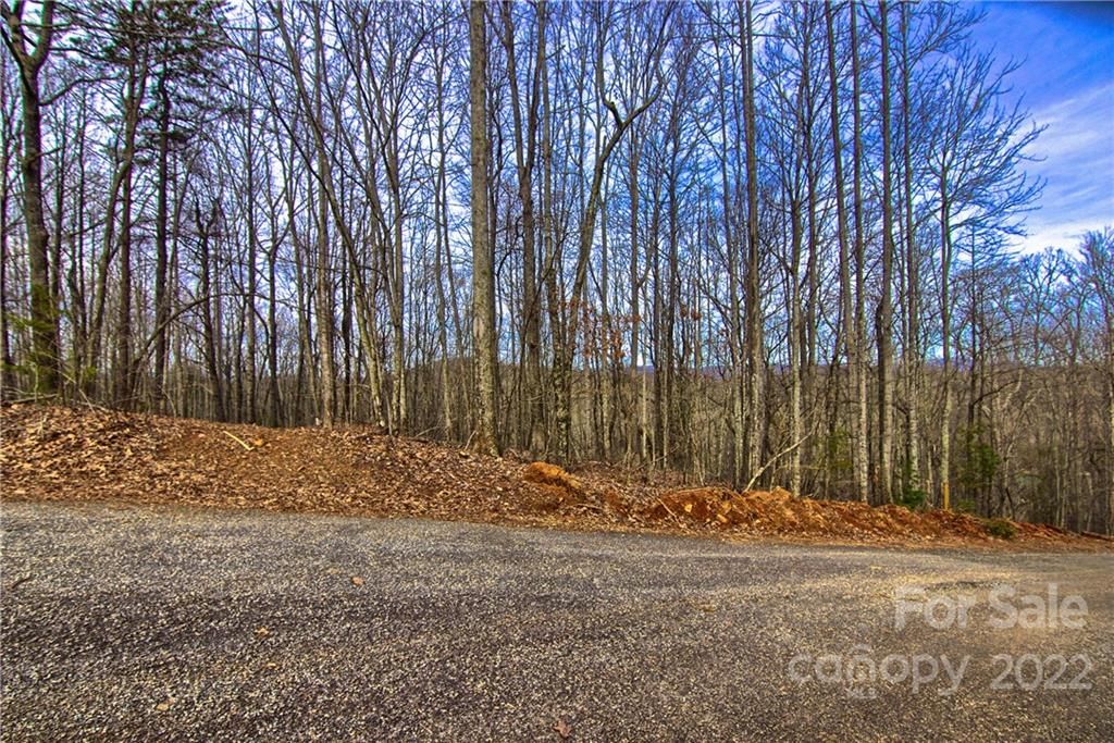 Lot #12 Rhododendron Drive