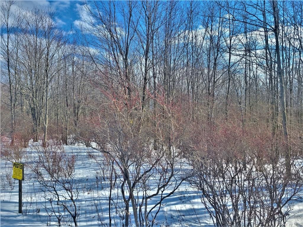 Lot 23.4 Neversink Road