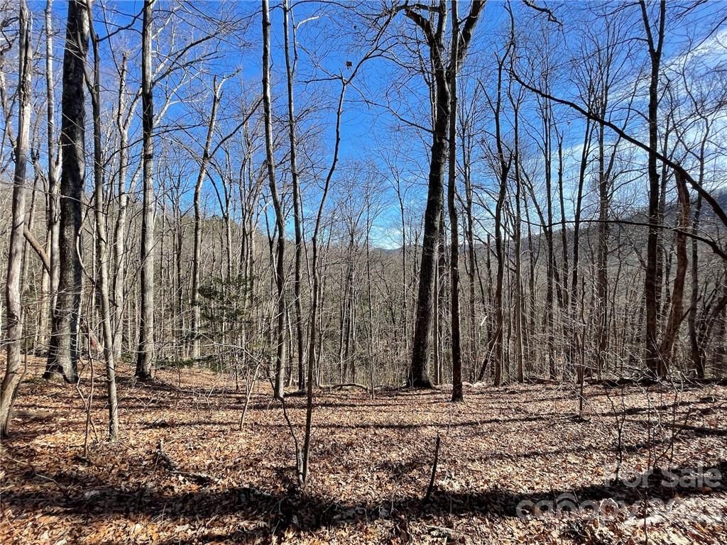 11.25 +/- Acres Ironwood Lane