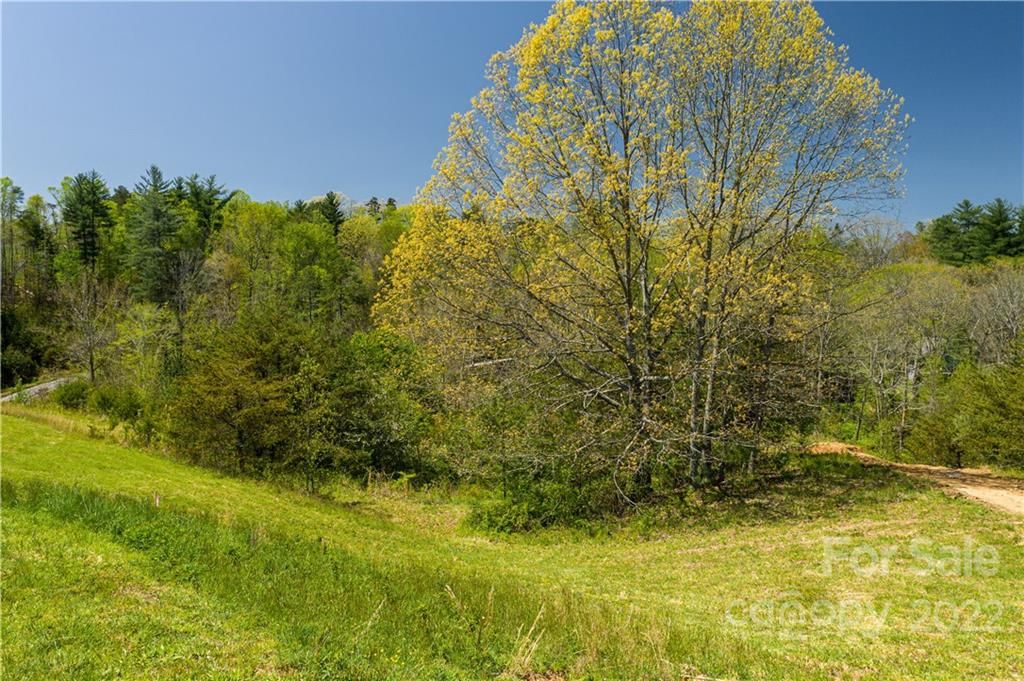 523 Wilma Dykeman Trail