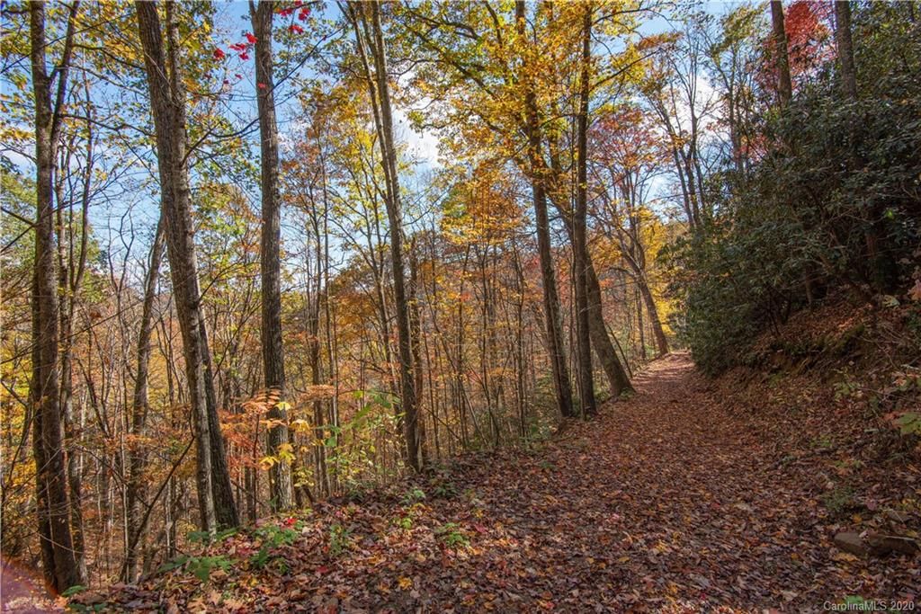 Tract 17 Sigogglin Trail