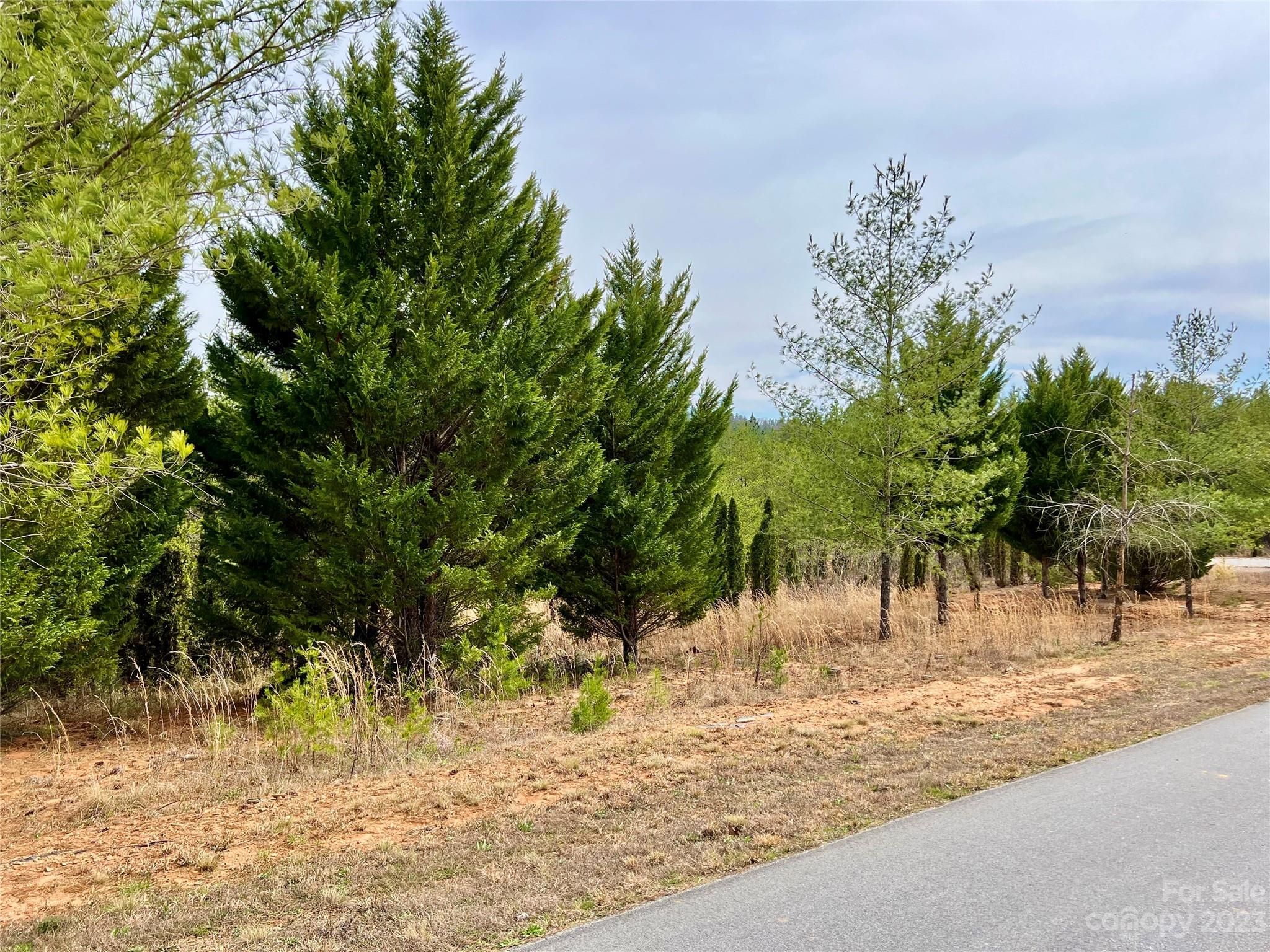 1.125 Acres Lot Cb-31 Cypress Trail