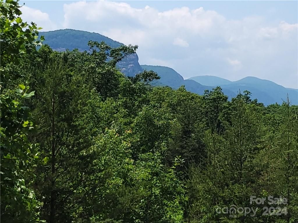 Lot 5 Burroughs Road