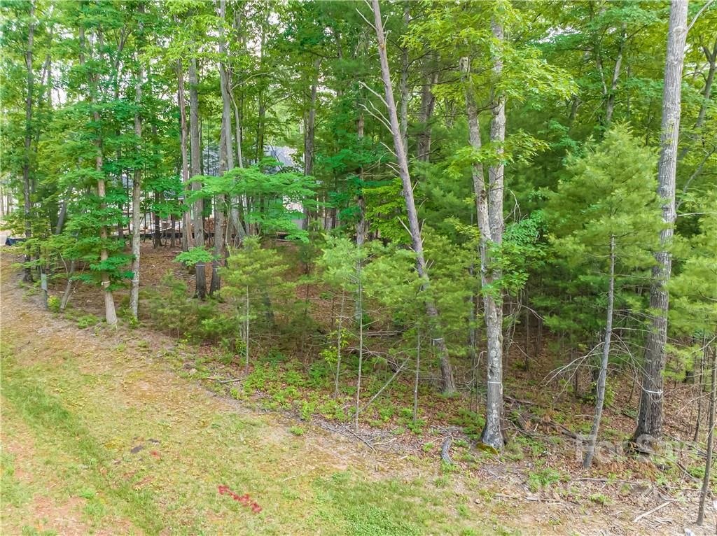 50 Emerald Necklace Drive
