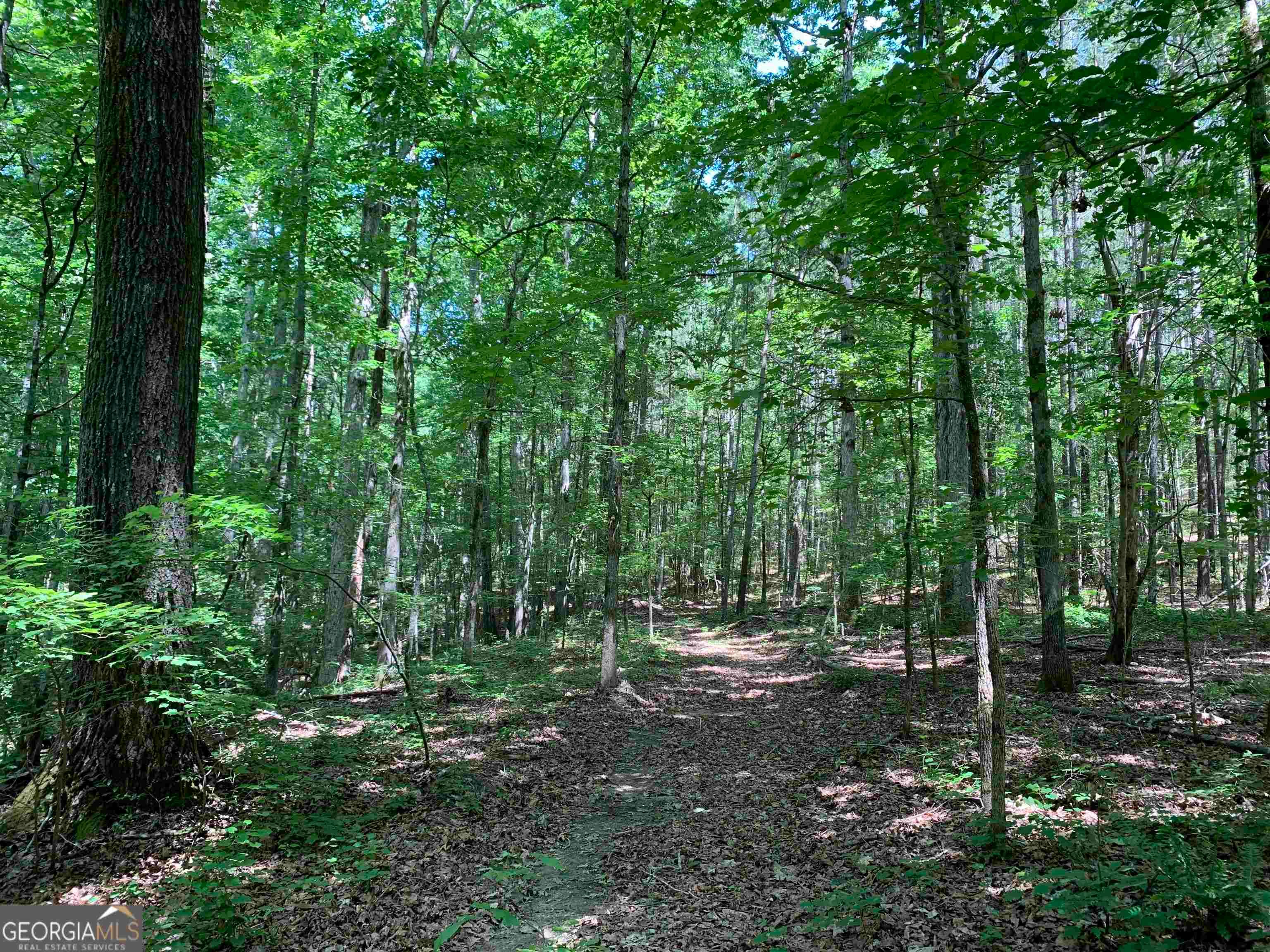 2 Farmington Road