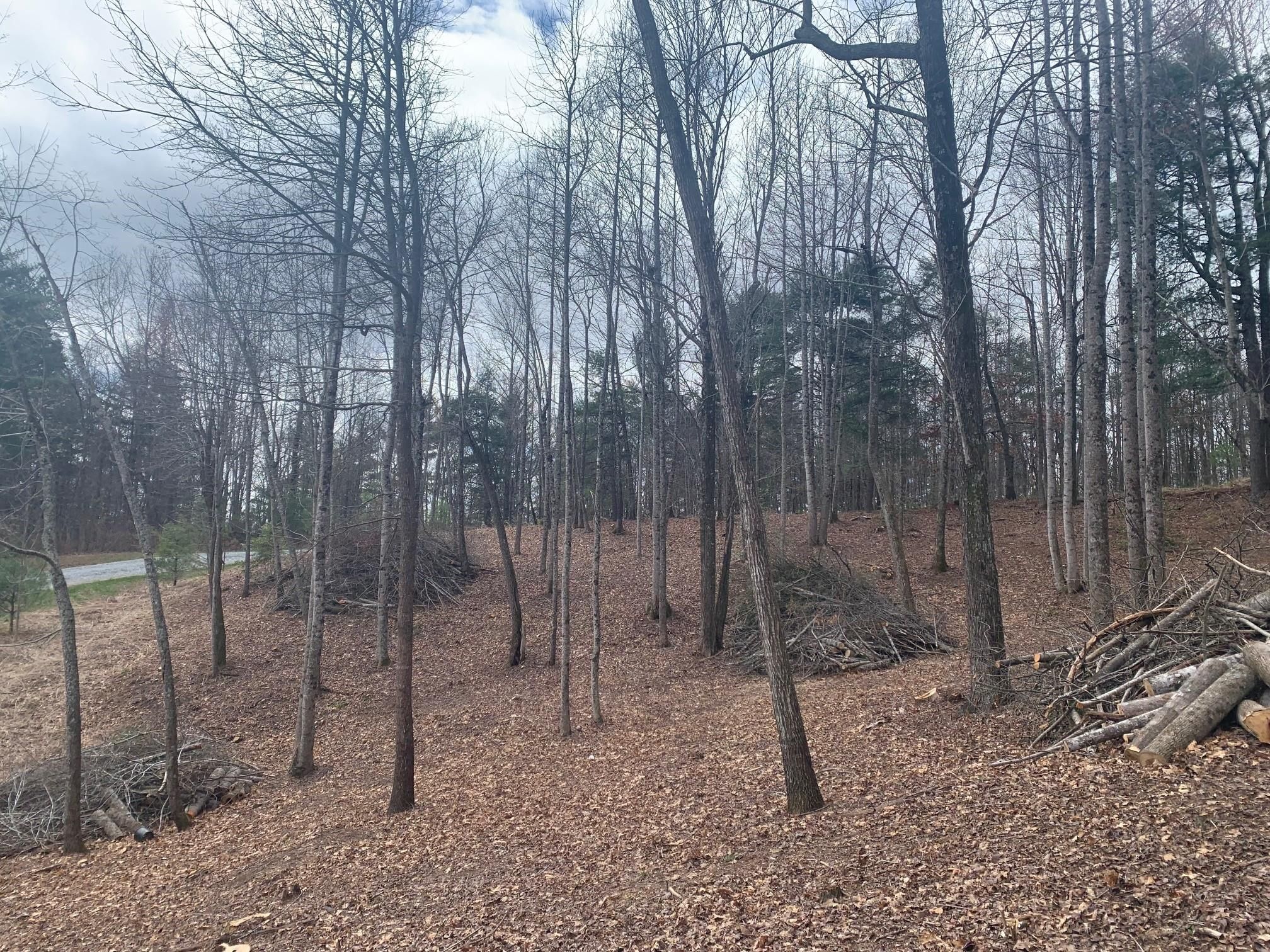 Summit Springs Drive