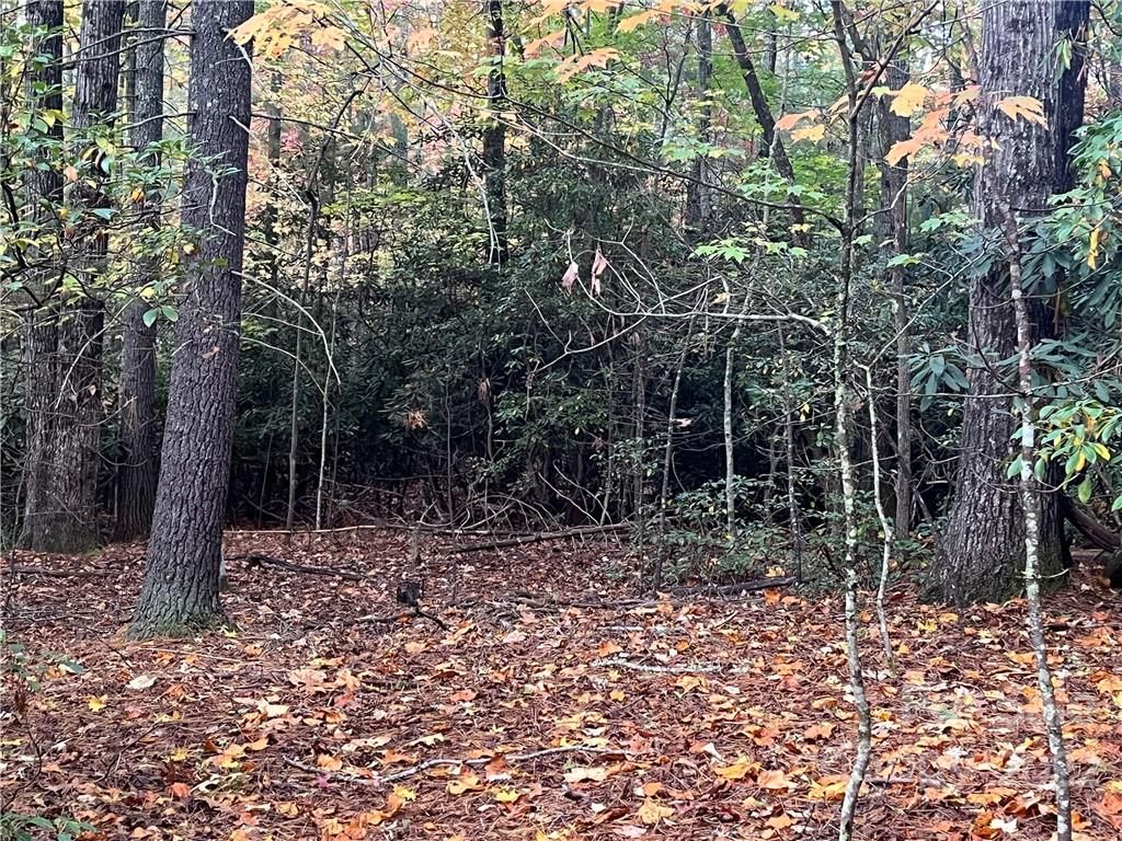 Tbd Hemlock Ridge Trail
