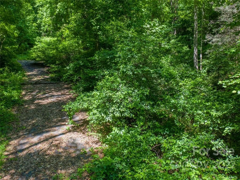 00 Running Deer Lane