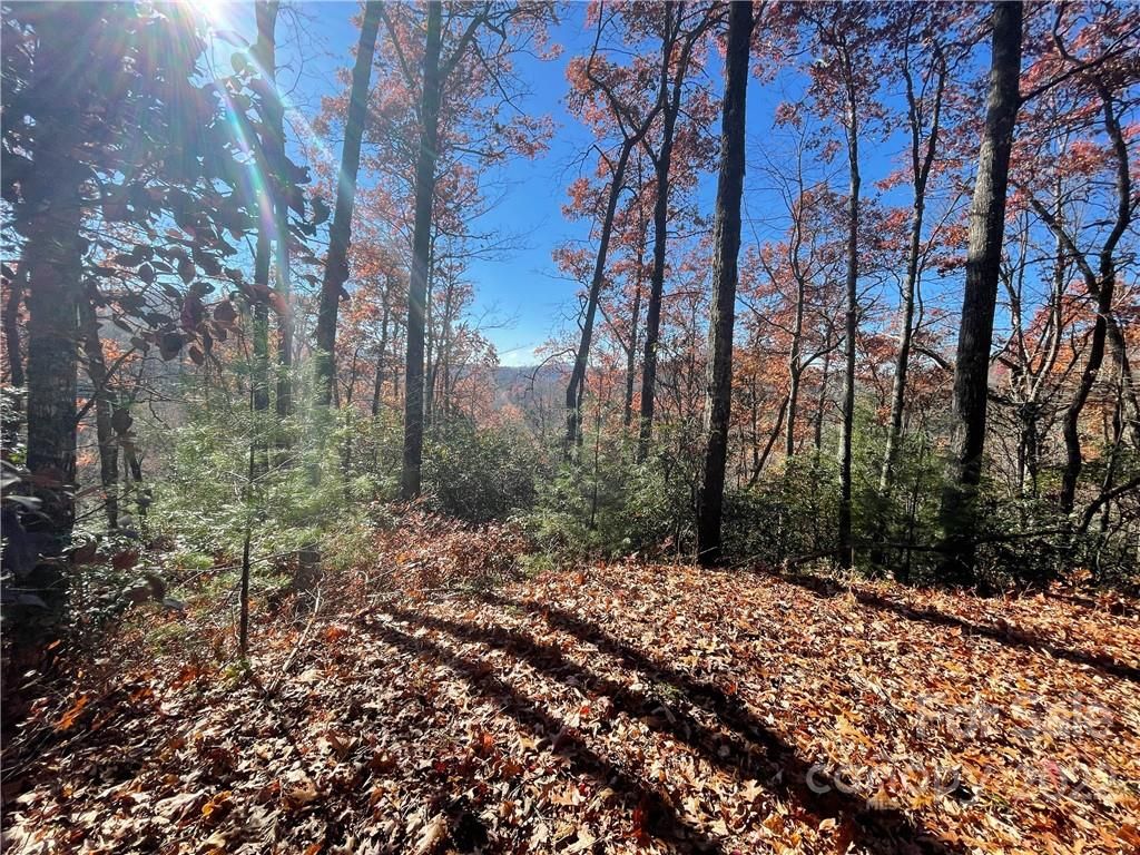 Lot 134 Green Hollow Lane