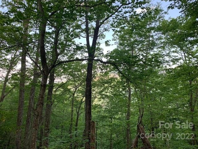 0000 Hawks Nest Trail