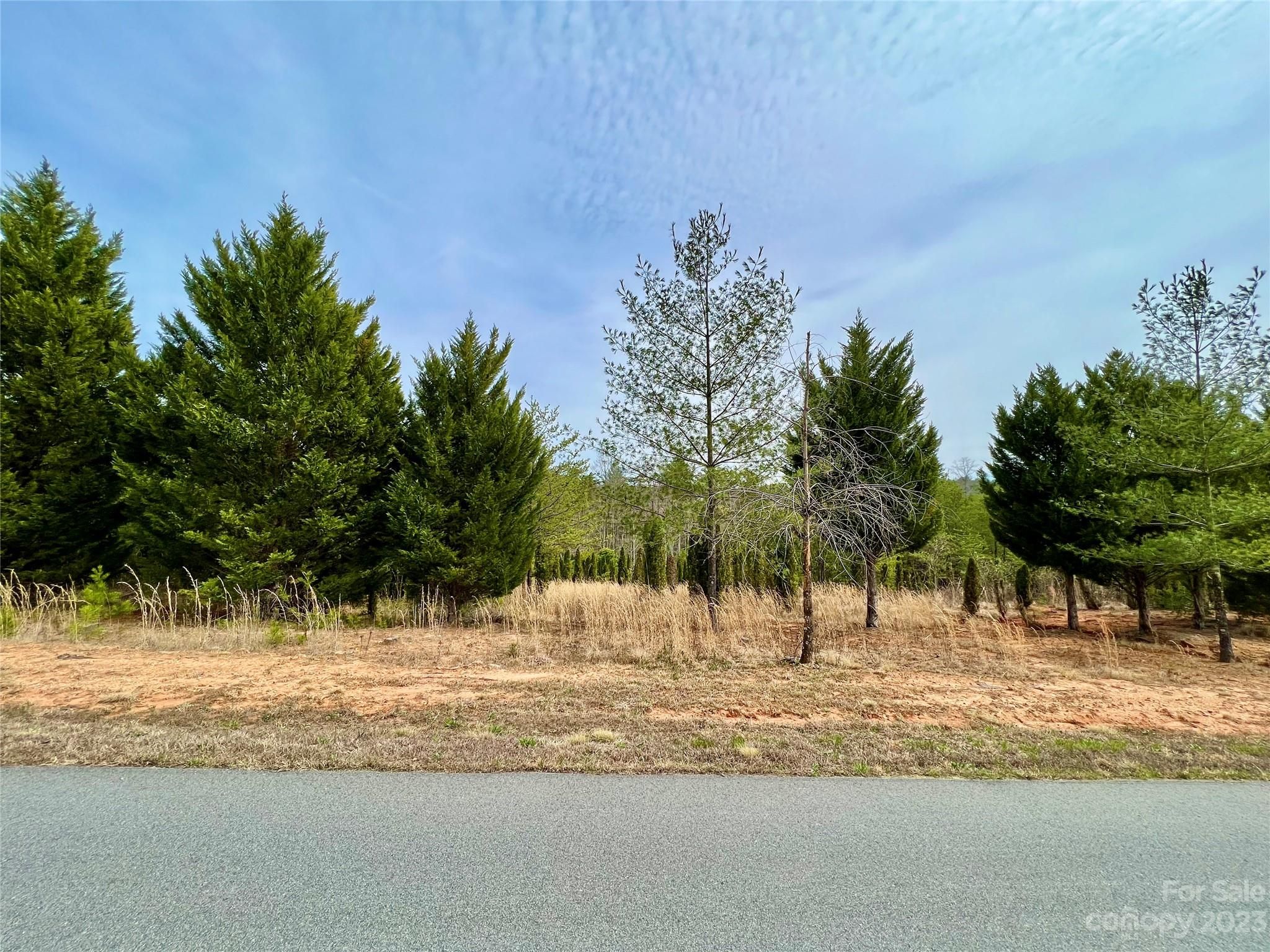 1.125 Acres Lot Cb-31 Cypress Trail