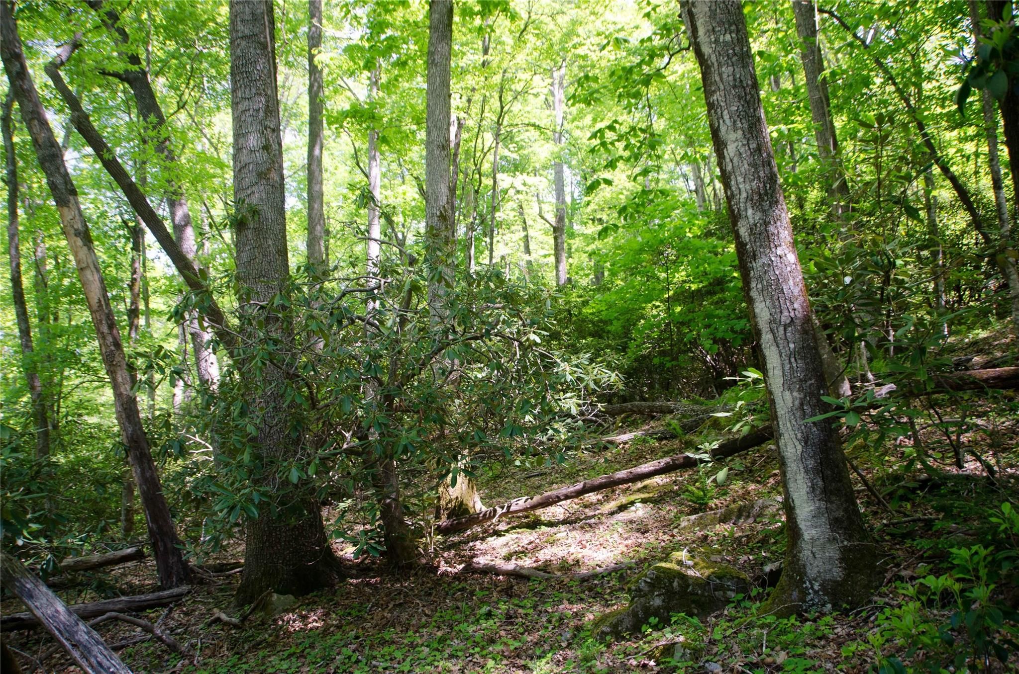 000 Big Ridge Road