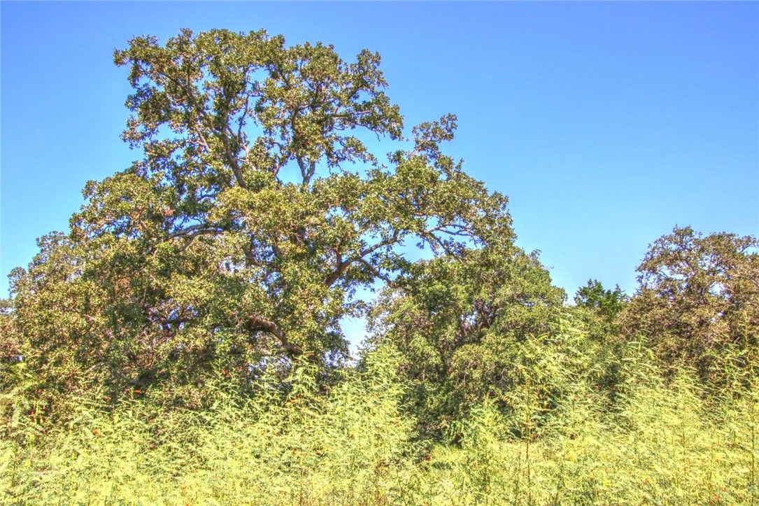 Tract 4 County Road 307
