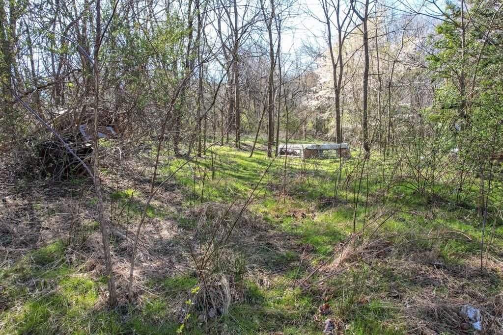 195 Old Lakey Gap Road