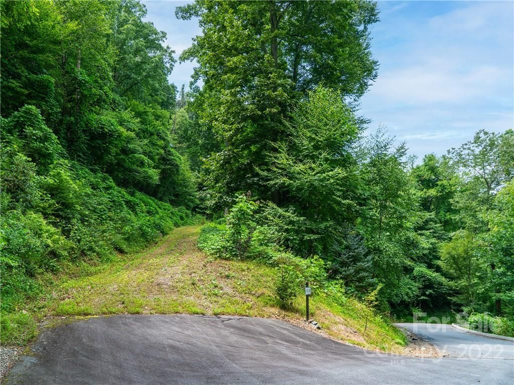 45 Flora Rose Trail