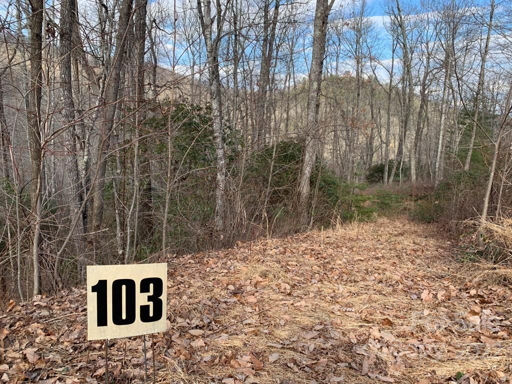 103 Laurel Thicket Lane
