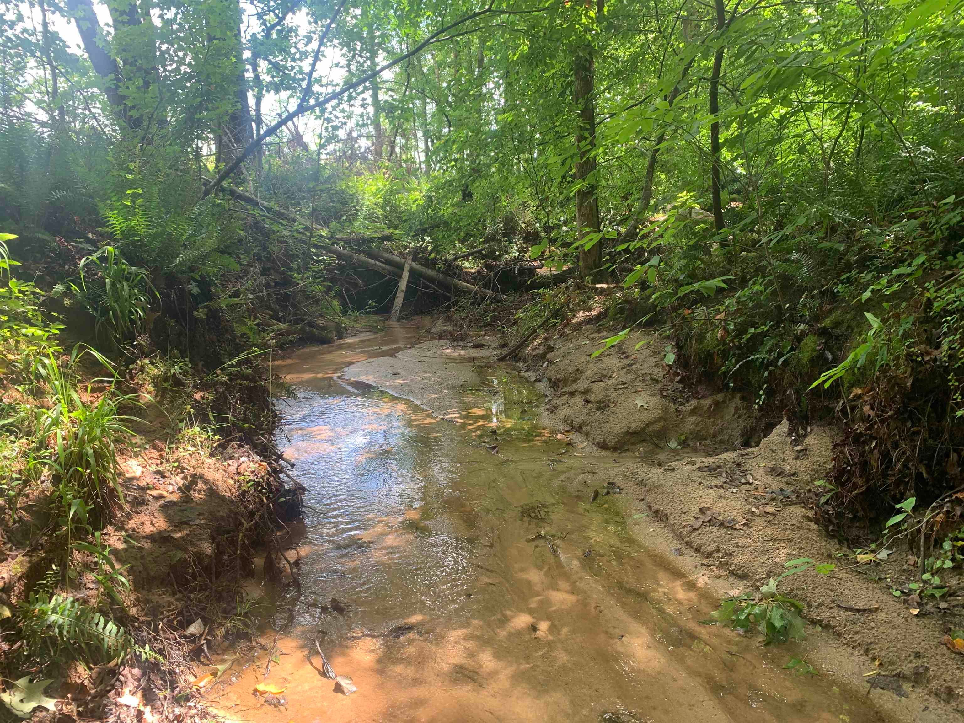 3 Farmington Road
