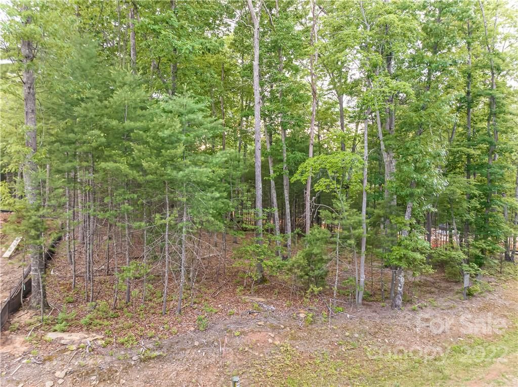 50 Emerald Necklace Drive