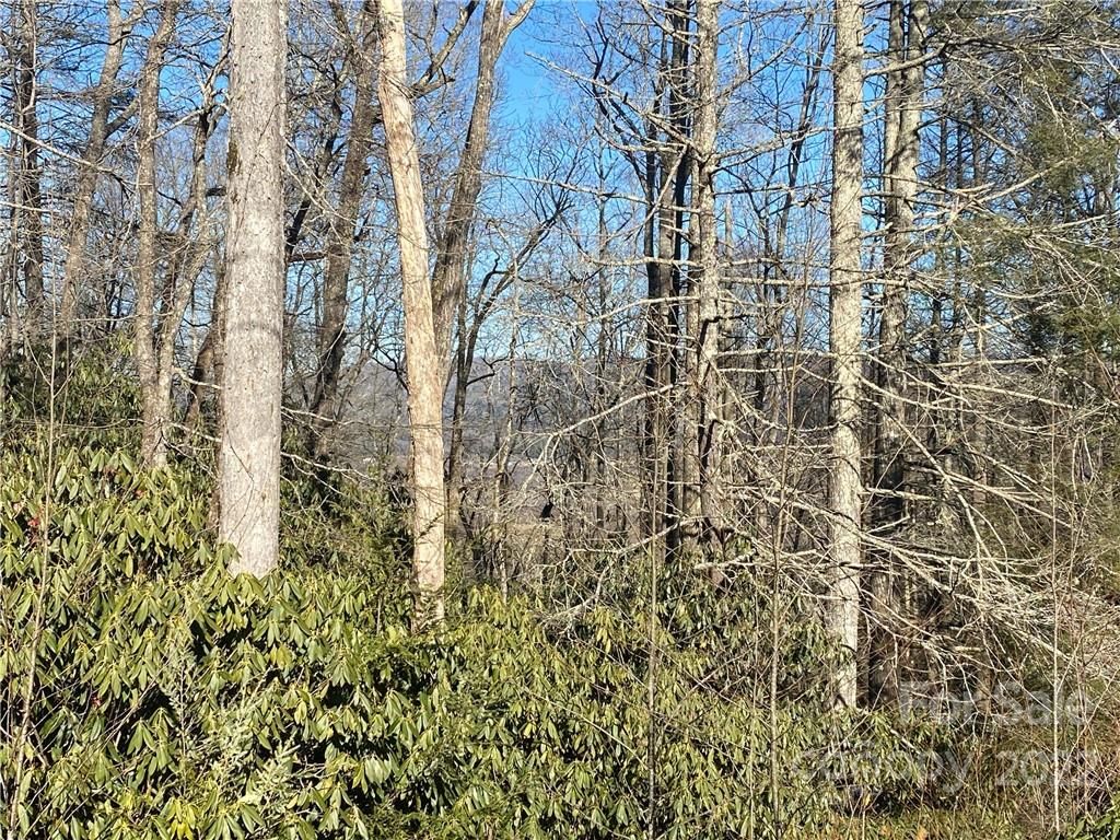 Tbd Pisgah Forest Drive