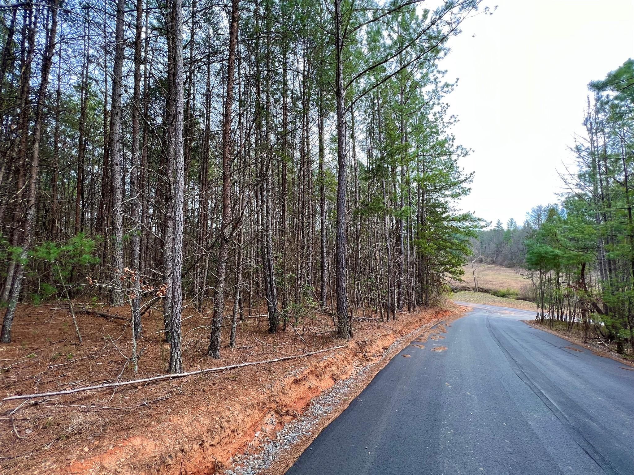 1.212 Acres Lot Cb-34 Cypress Trail