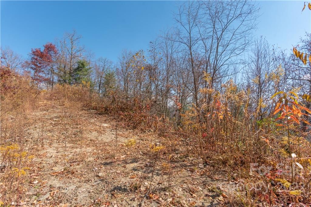 Tract 4 Sigogglin Trail