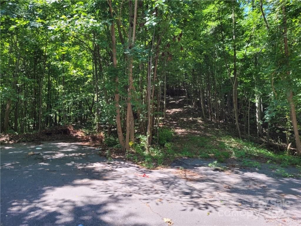 Lot 5 Burroughs Road