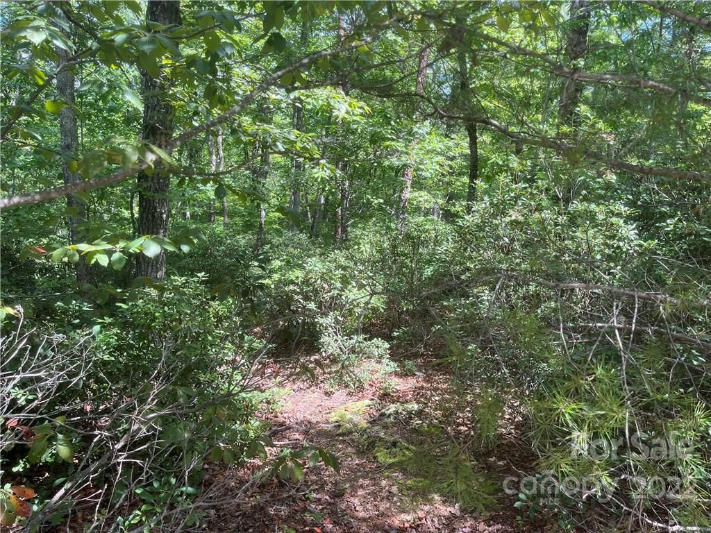 Brookside Parkway