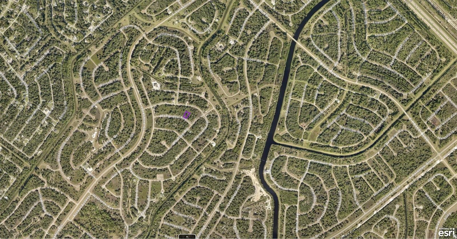 1147202718 Mangrove Avenue