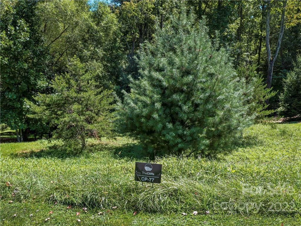 19 Mountain Orchid Way