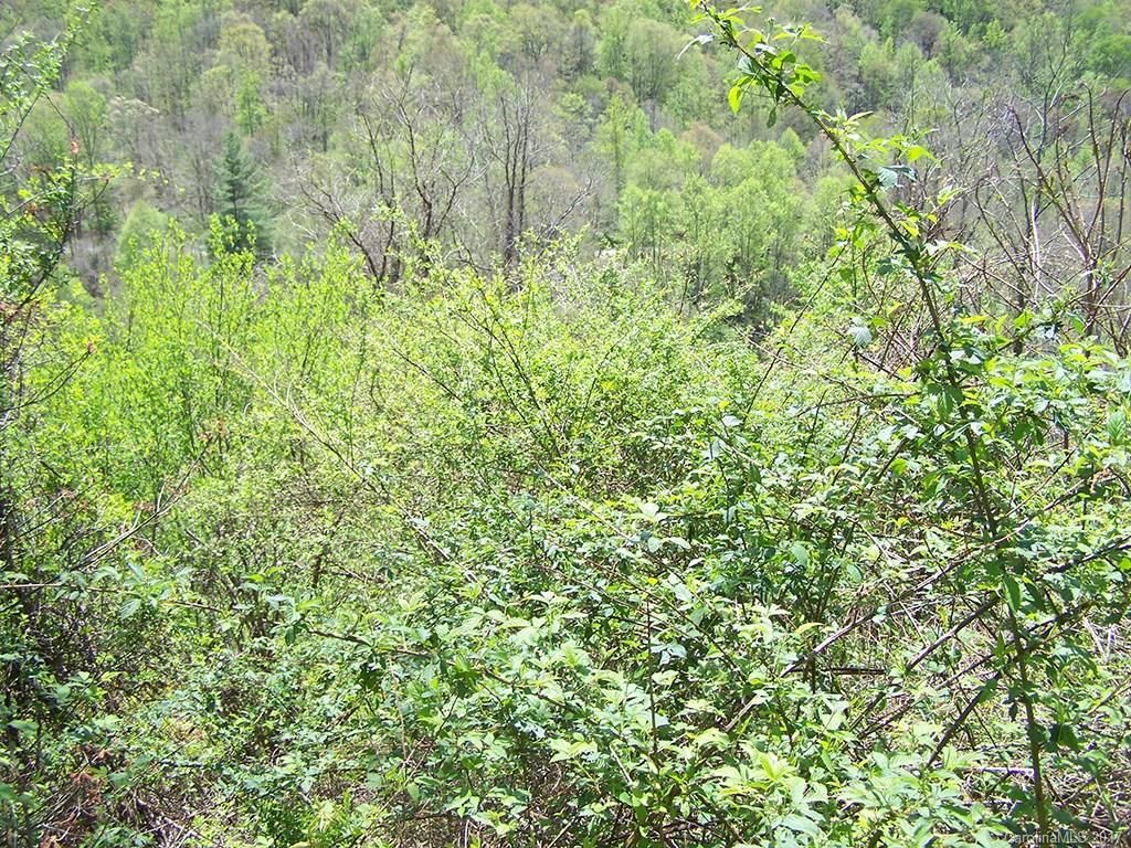 Lot 120 Red Sky Ridge