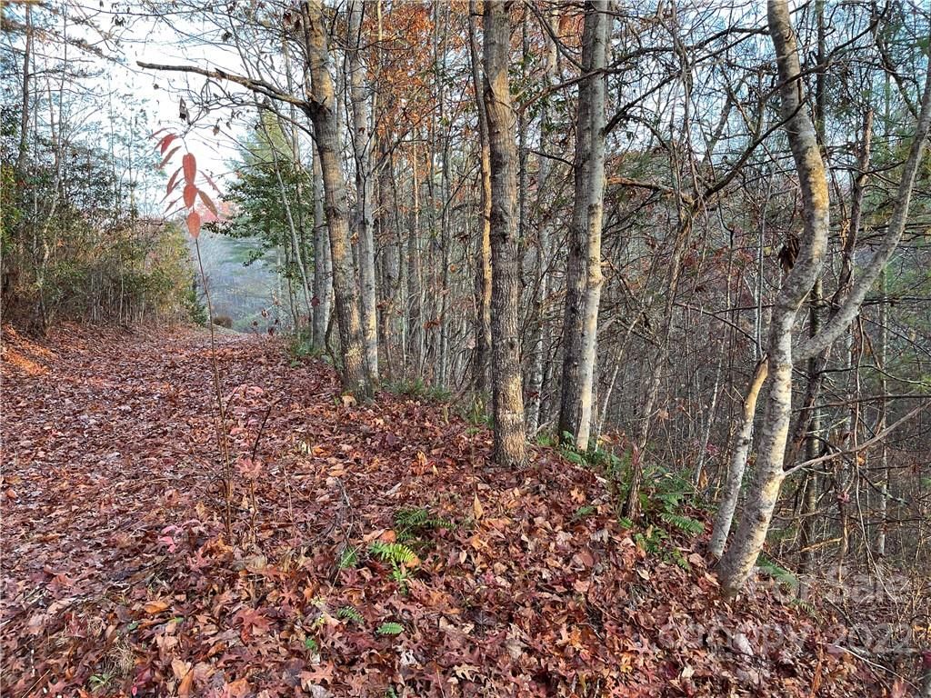 Lot 43 Kimiko Lane