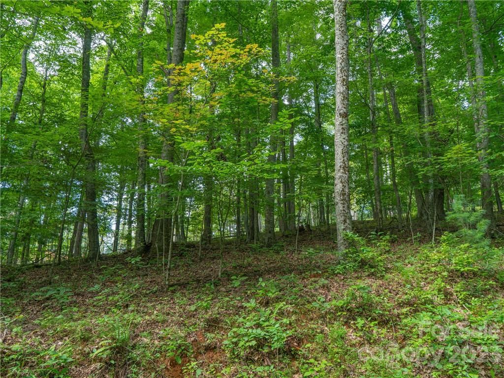 Lot 11 Locust Rough Mountain Road