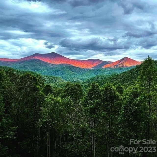 390 Choke Berry Ridge