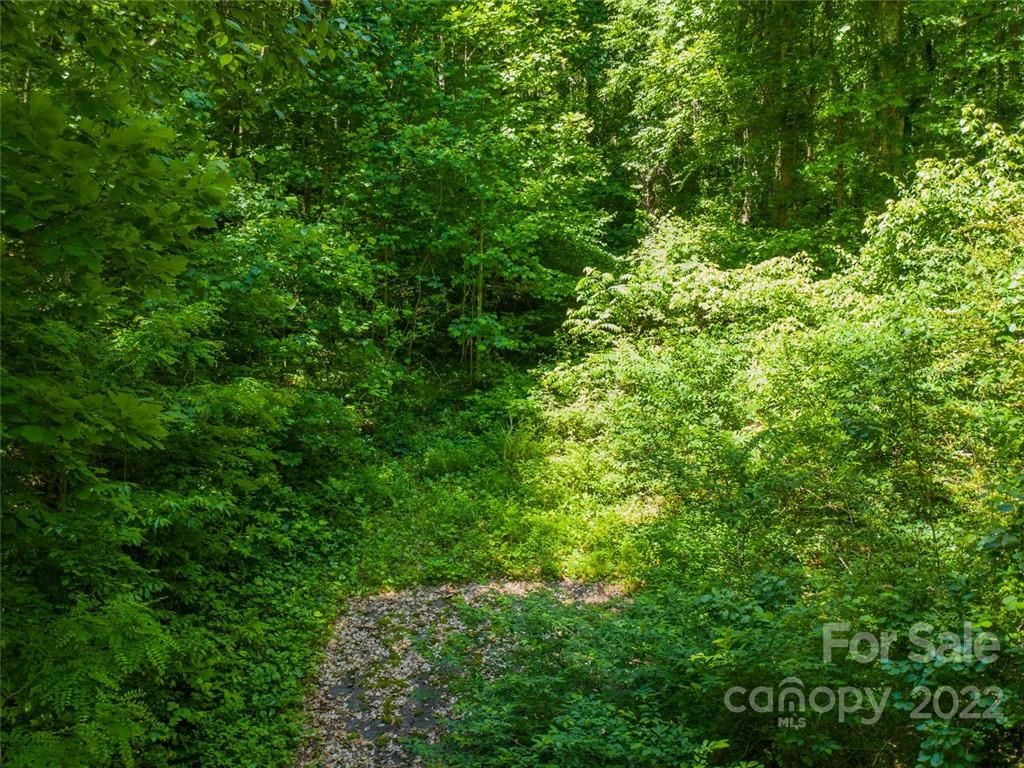 00 Running Deer Lane