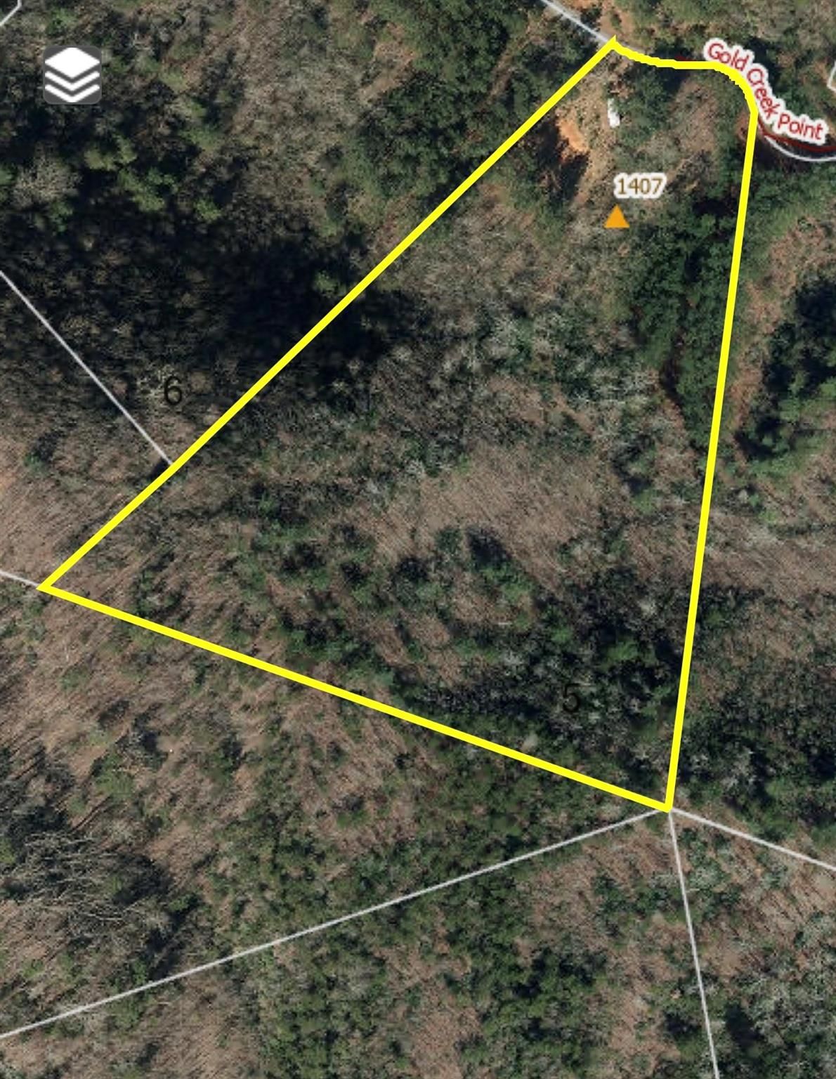 1407 Gold Creek Point