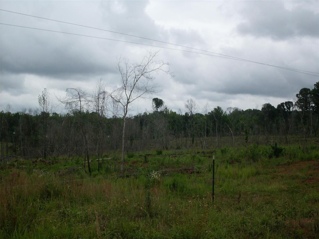 847 Walt Sanders Road