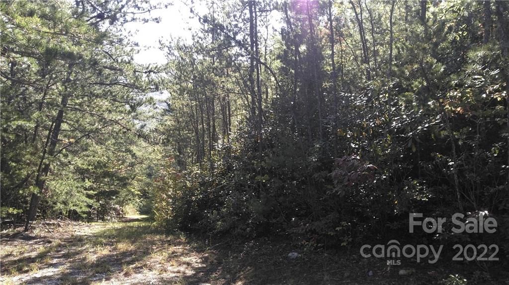 Lot 16c/17c Oconee Drive