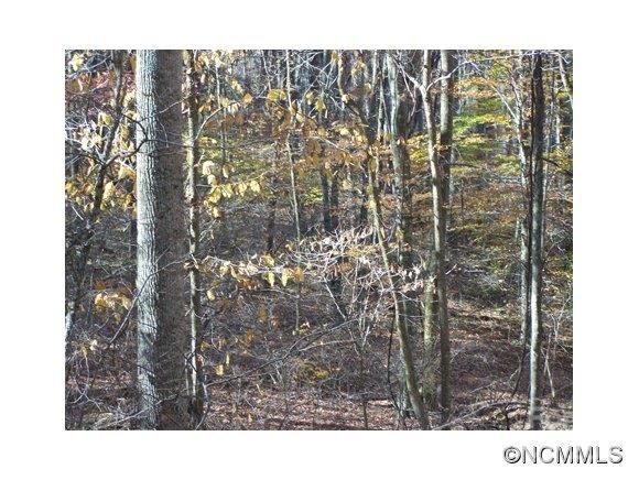 Lot 48 Whispering Woods Path