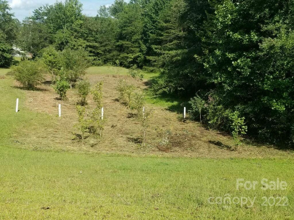 Carpenter Road