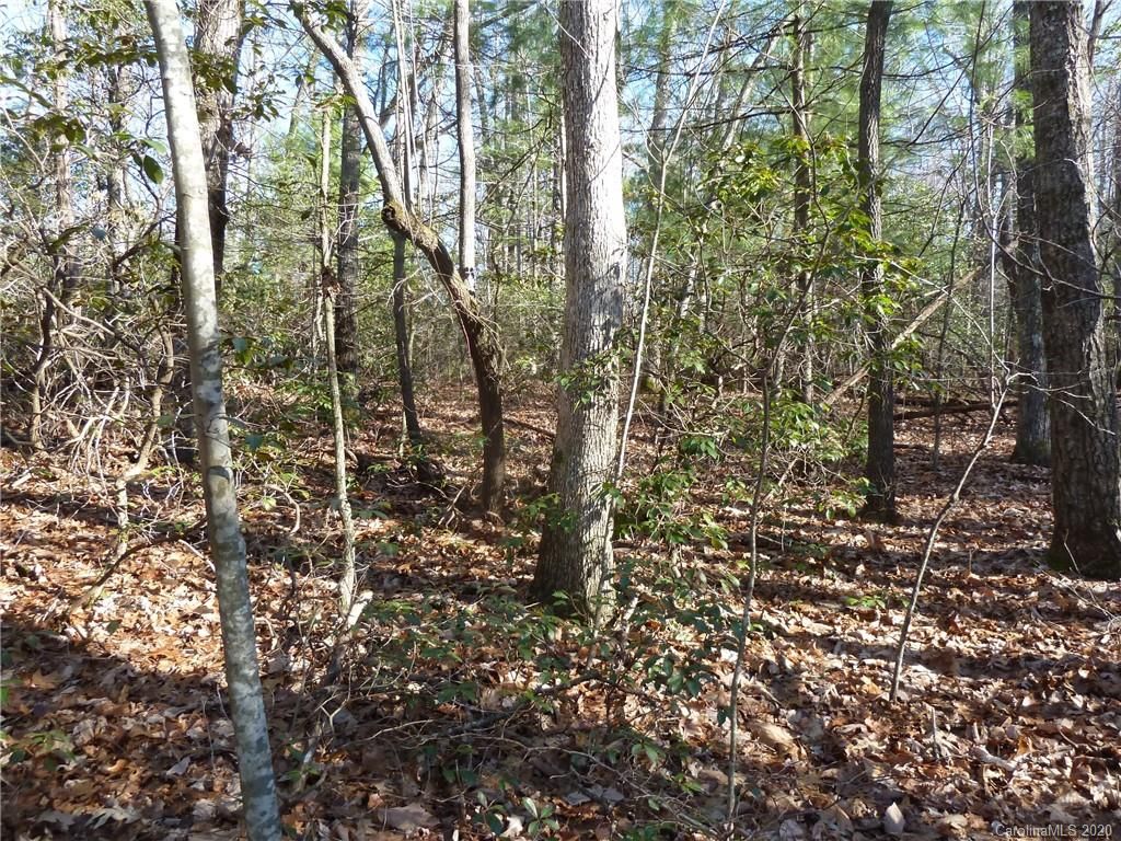 47 Dakota Springs Loop