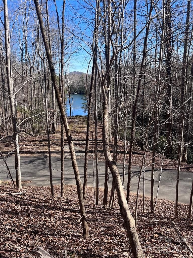 Woodland Circle